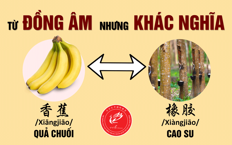 Tổng hợp từ vựng đồng âm khác nghĩa tiếng Trung thường gặp