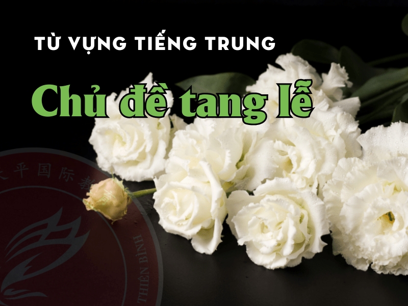 Từ vựng tiếng Trung chủ đề tang lễ 